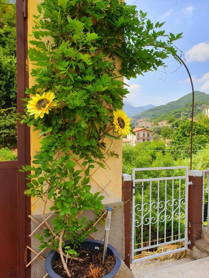 Il Girasole ...At Andorus' House Bed & Breakfast Erli Bagian luar foto